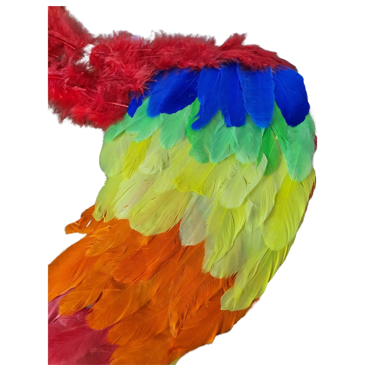 Asa de Anjo Colorida - Fantasia - Kriat Asa de Anjo Colorida - Fantasia - Kriat